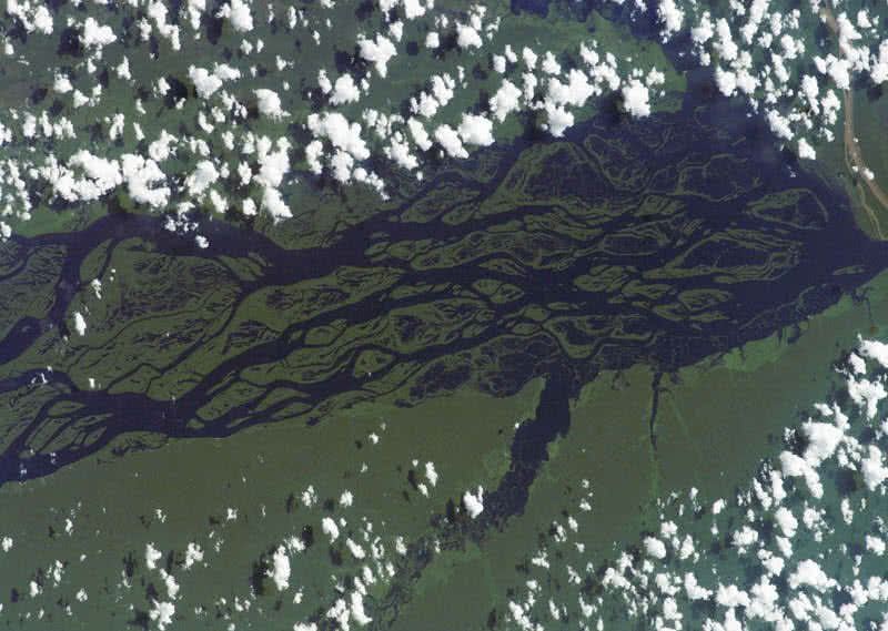 río Amazonas